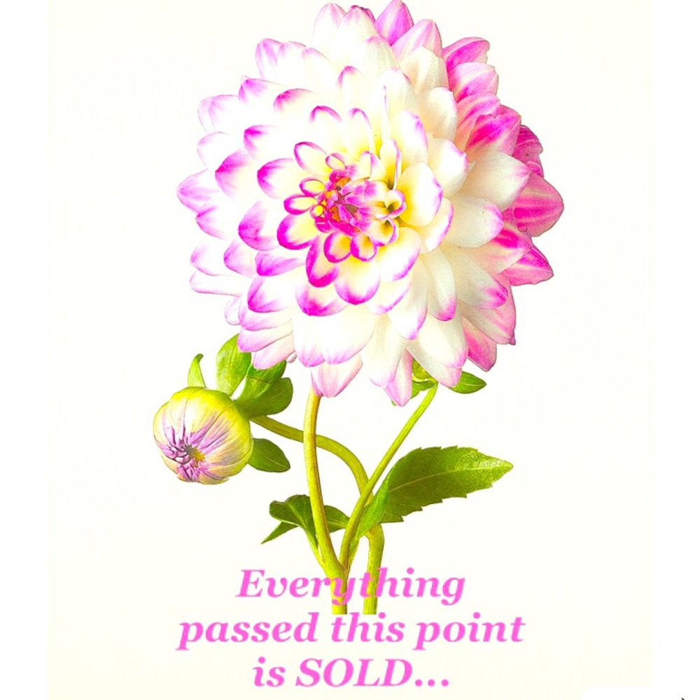 Thanks For Visiting